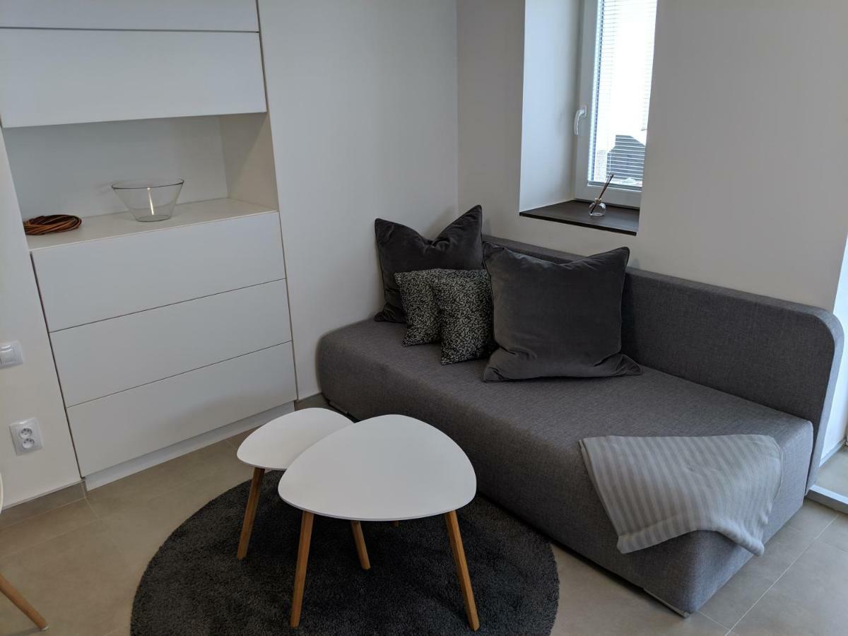 Ap10 - Apartments 4U Brezinova "Overnight Simply" Hradec Králové Eksteriør billede
